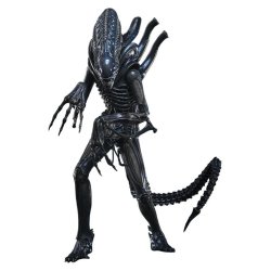 Alien Movie Masterpiece Action Figure 1/6 Alien Warrior 39 cm