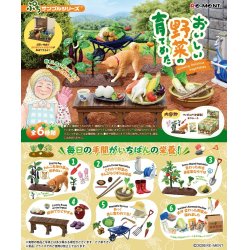 Vegetable Harvesting Mini Figures Blind Box Display (6)