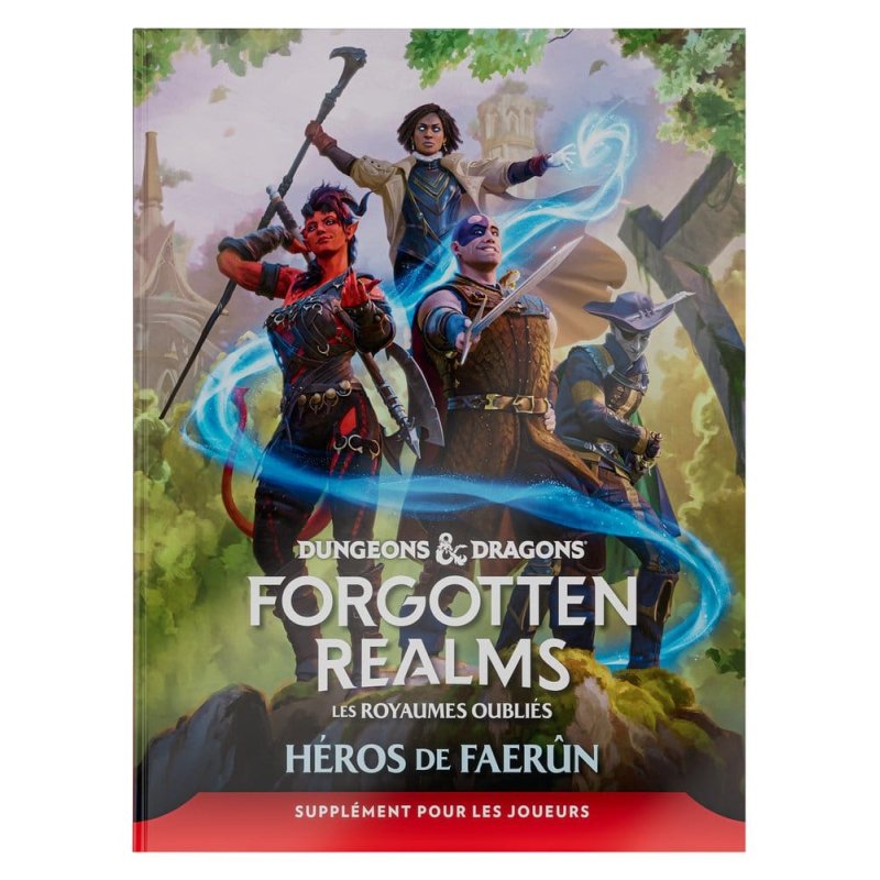 Dungeons & Dragons RPG Forgotten Realms: Héros de Faerun Player Expansion *French Version*