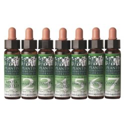 Artesania Plantis 4 Centaurea 10Ml