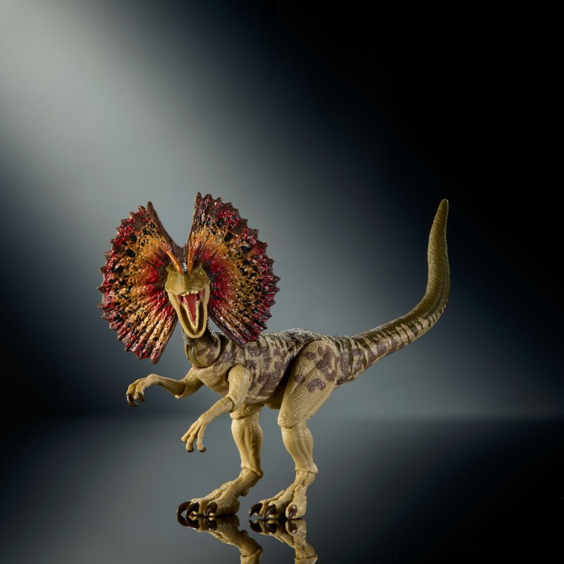 Jurassic World Hammond Collection Dilophosaurus Dinosaur Figure, Deluxe Design and Articulation