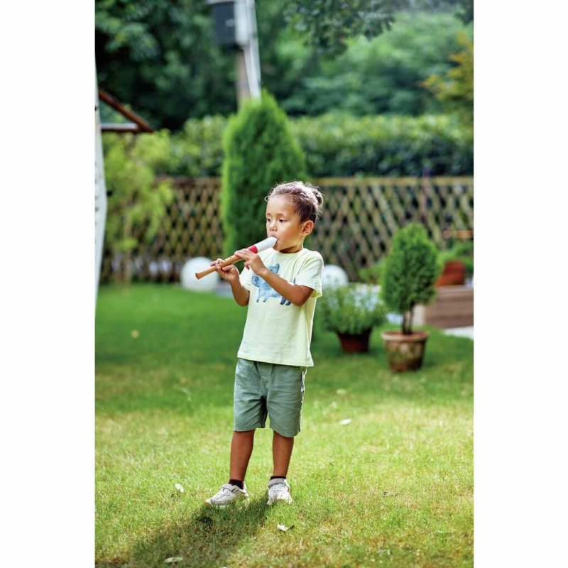 Hape Musician's Starter Recorder