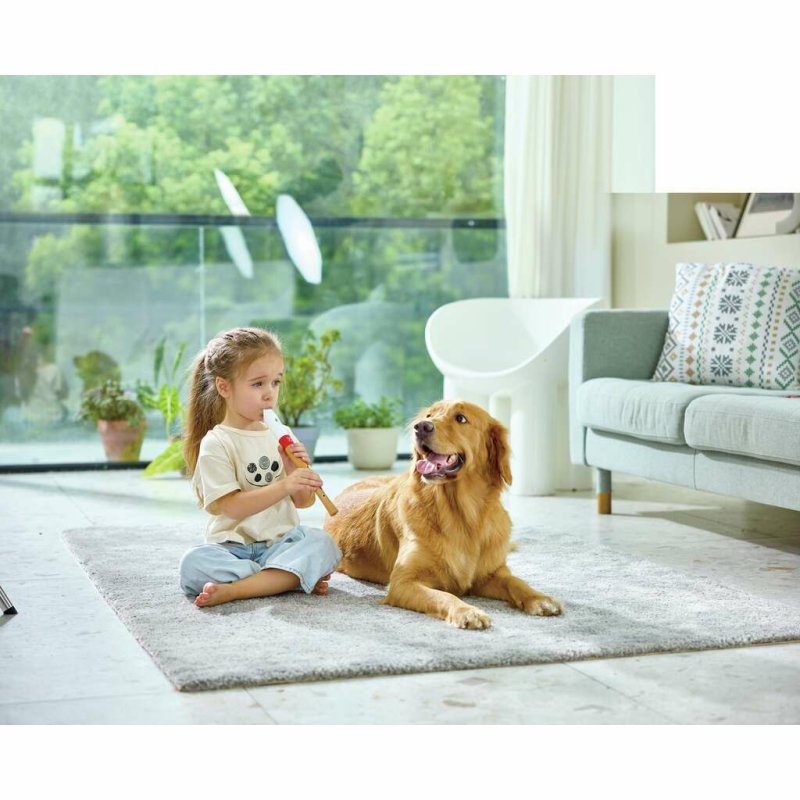 Hape Musician's Starter Recorder