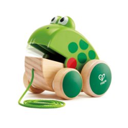 Petite grenouille à promener