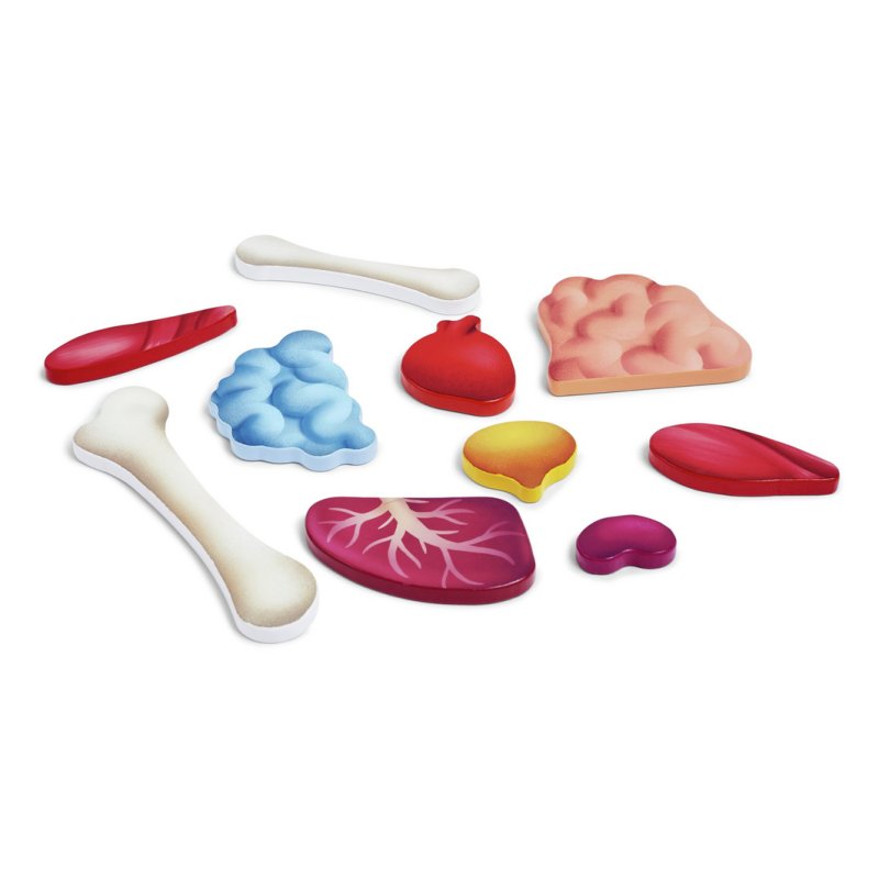 Hape Human Body Jigsaw puzzle 60 pc(s) Science