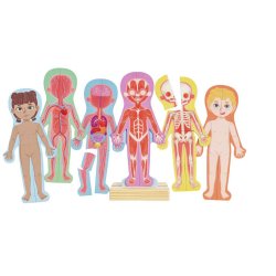 Hape Human Body Magnetic Puzzle Shape puzzle People