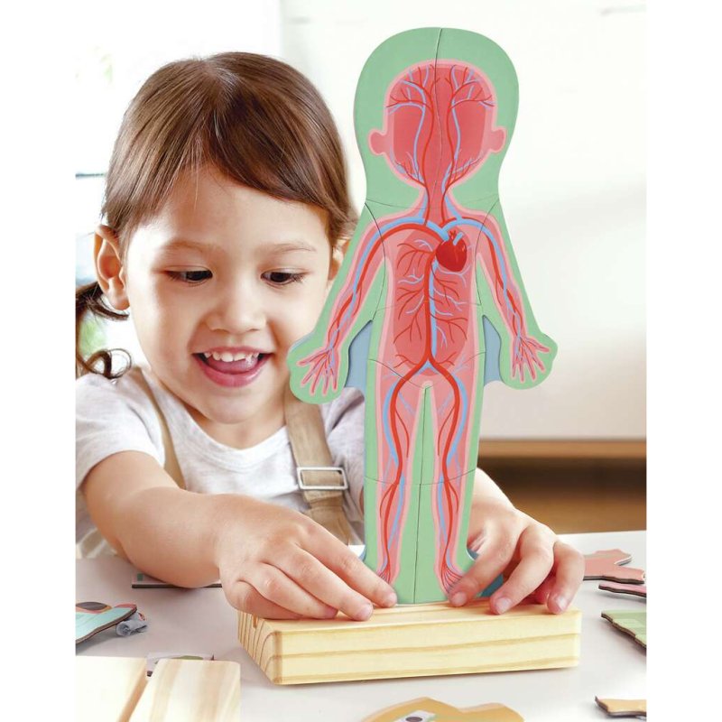 Puzzle aimenté - assemble le corps humain