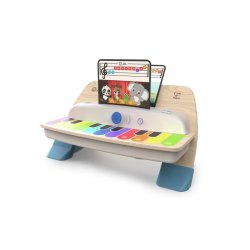 Hape E12422C learning toy