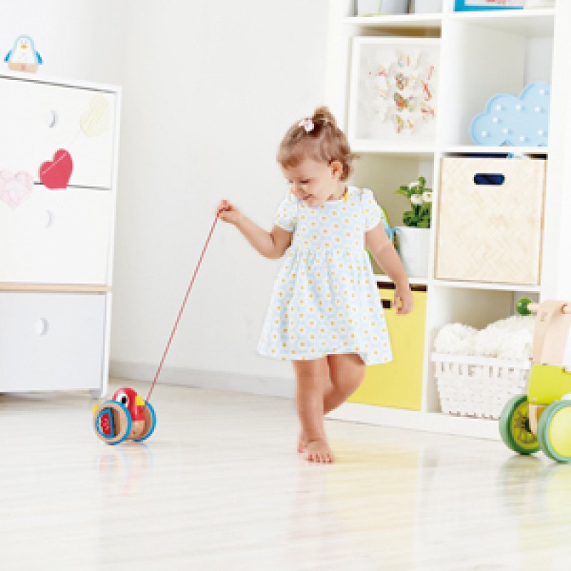 Hape E0360 push & pull toy