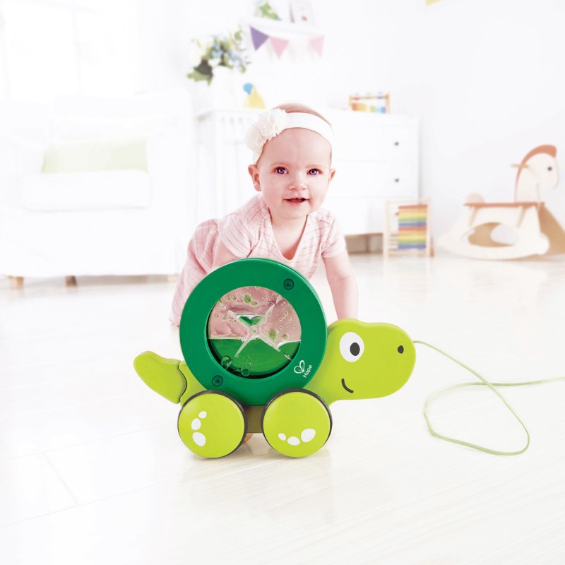Hape E0354 push & pull toy