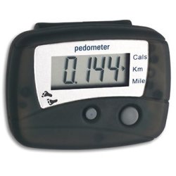 42.2003 Elektronischer Schrittzhler
