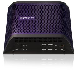 BrightSign XC4055 lecteur multimédia Violet 8K Ultra HD 7680 x 4320 pixels