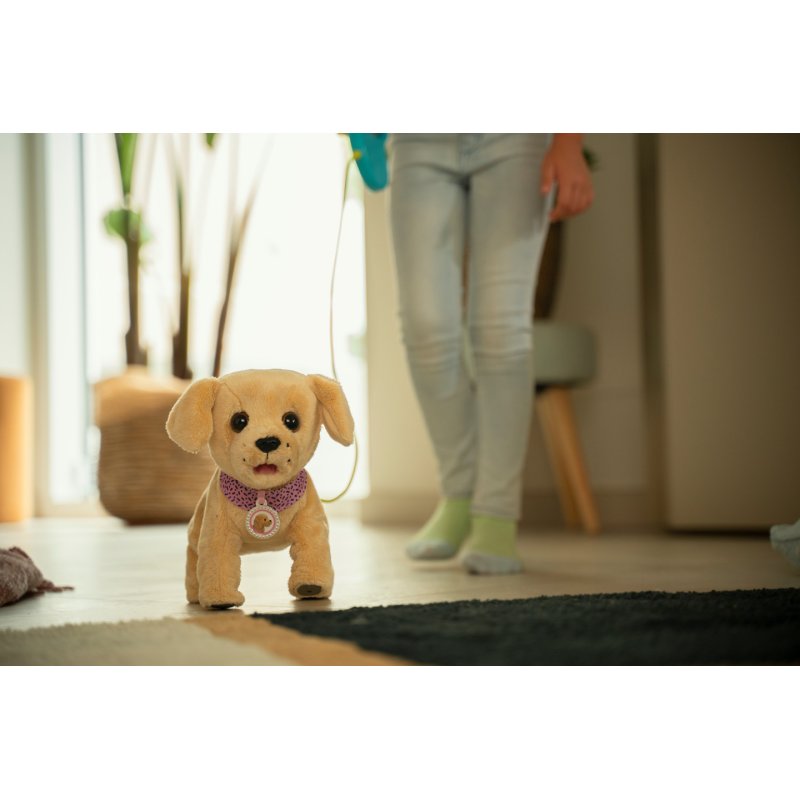 Zapf Baby born Mein Hund Lucky mit Box