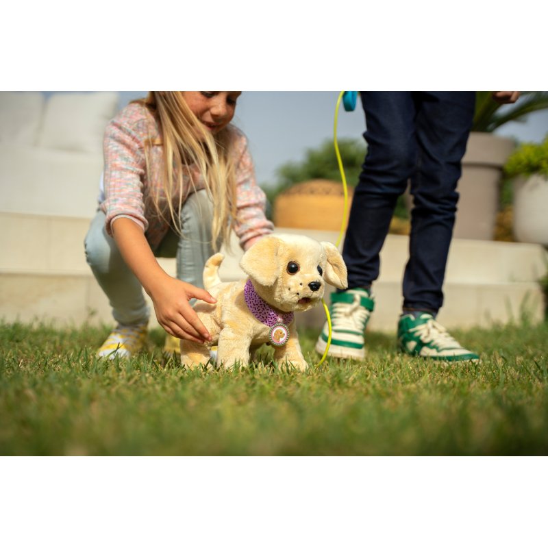BABY born My Dog Lucky with Box