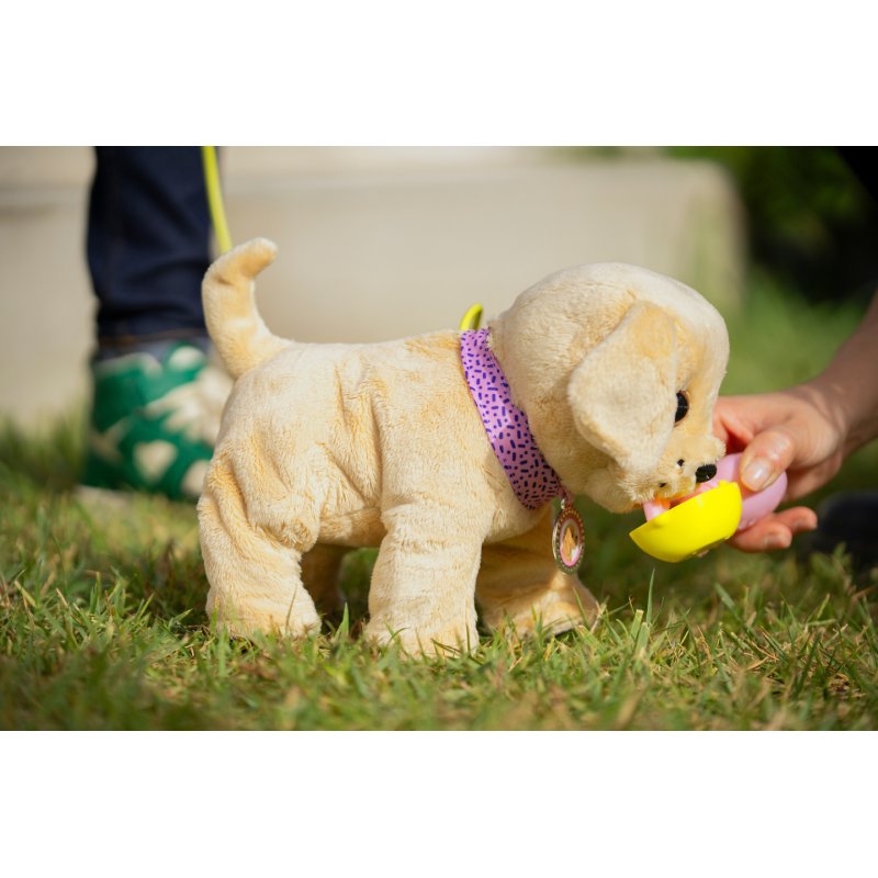 Zapf Baby born Mein Hund Lucky mit Box