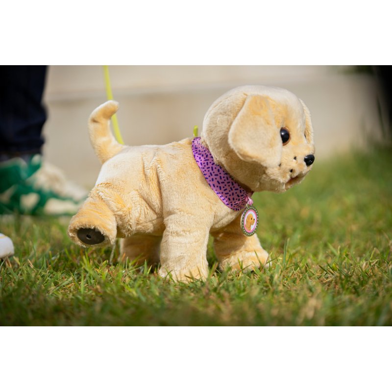 Zapf Baby born Mein Hund Lucky mit Box