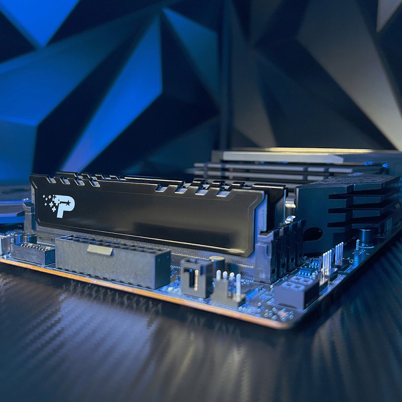 Patriot Memory Signature Line Premium PSP548G56002H1 module de mémoire 16 Go 1 x 16 Go DDR5 5600 MT/s 288-pin DIMM