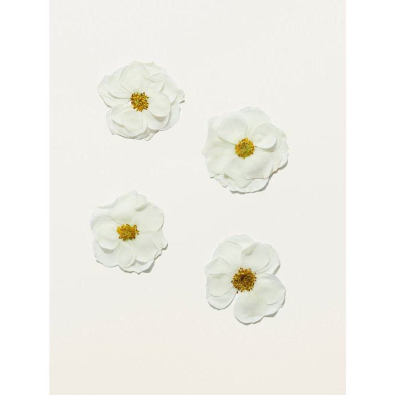 Burberry Her Blossom (Tester) 100 ml Femmes