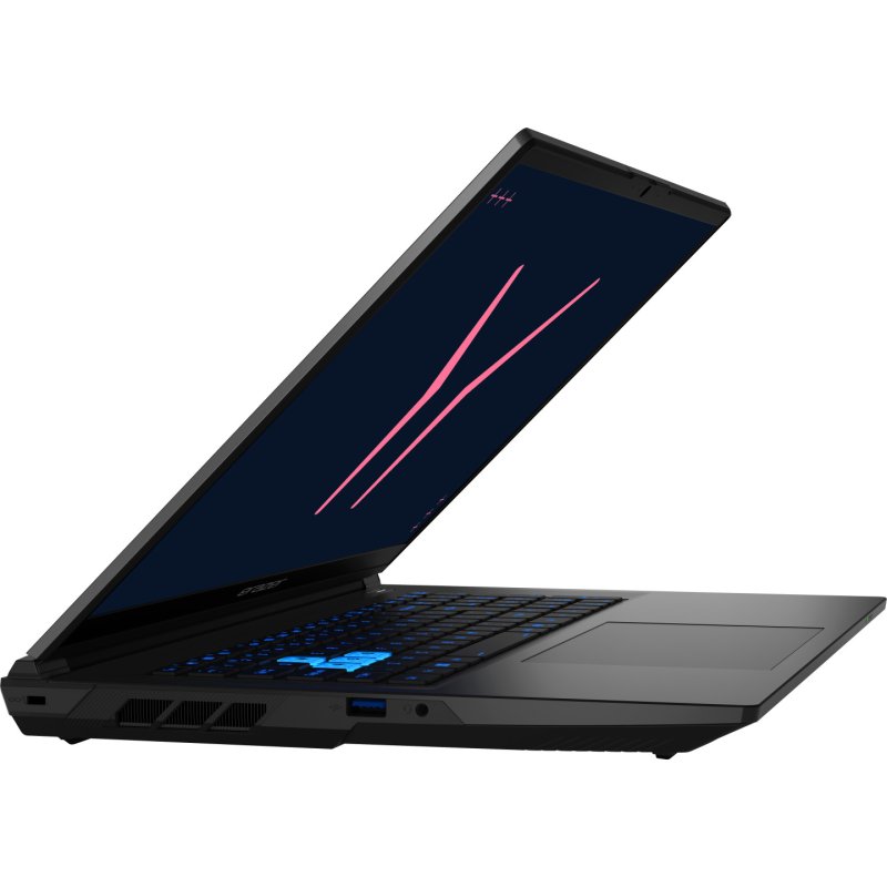 ERAZER Defender 17 P10 (MD600080) Intel Core™ i9 i9-14900HX Laptop 43.9 cm (17.3") Quad HD 32 GB DDR5-SDRAM 1 TB SSD