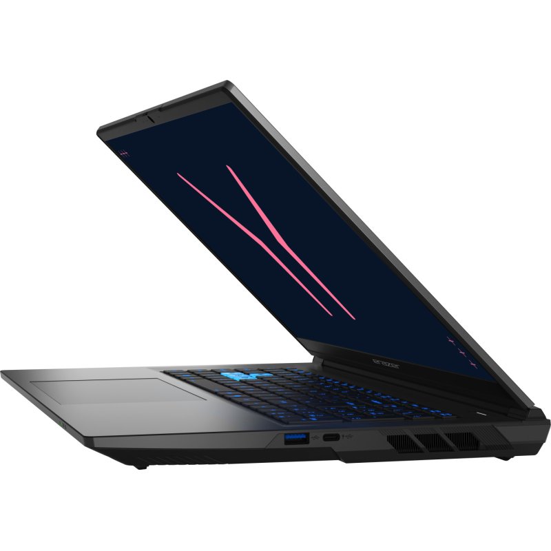 ERAZER Defender 17 P10 (MD600080) Intel Core™ i9 i9-14900HX Laptop 43.9 cm (17.3") Quad HD 32 GB DDR5-SDRAM 1 TB SSD