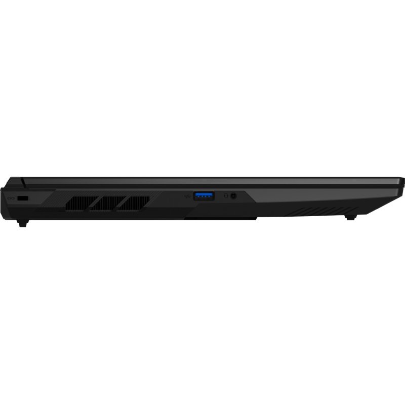 ERAZER Defender 17 P10 (MD600080) Intel Core™ i9 i9-14900HX Laptop 43.9 cm (17.3") Quad HD 32 GB DDR5-SDRAM 1 TB SSD
