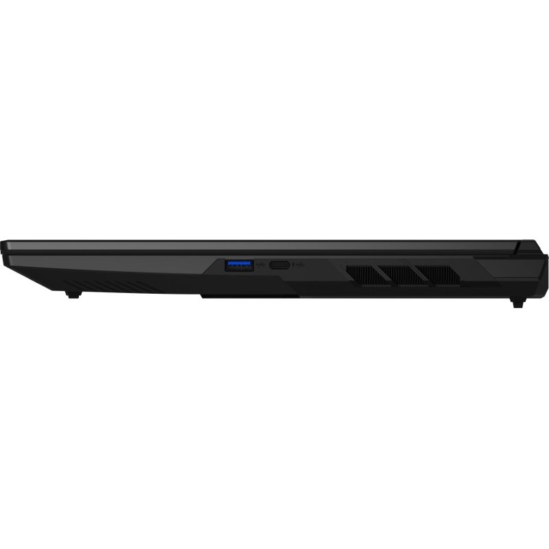 ERAZER Defender 17 P10 (MD600080) Intel Core™ i9 i9-14900HX Ordinateur portable 43,9 cm (17.3") Quad HD 32 Go