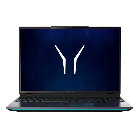 ERAZER Beast 16 X10 Ultimate (MD600063) Intel Core Ultra 9 290HX Plus Ordinateur portable 40,6 cm (16") Quad HD 32 Go