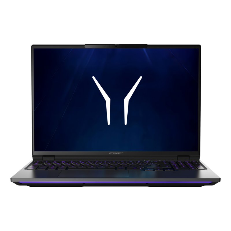ERAZER Beast 16 X10 Ultimate (MD600063) Intel Core Ultra 9 290HX Plus Ordinateur portable 40,6 cm (16") Quad HD 32 Go