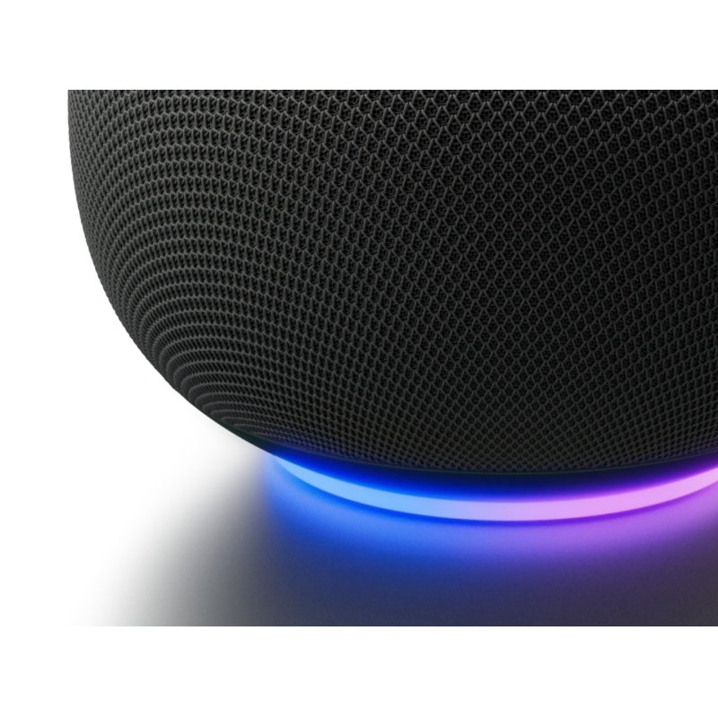 Google Home Grey