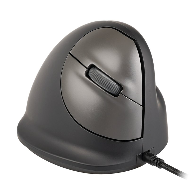 R-Go Tools RGOHBRSWDBL souris 2400 DPI