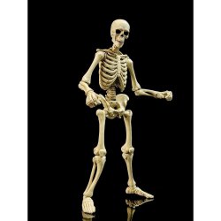 Epic &nbspH.A.C.K.S. Action Figure 1/12 Skeleton Blank Classic Bone