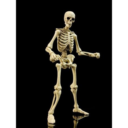 Epic &nbspH.A.C.K.S. Action Figure 1/12 Skeleton Blank Classic Bone