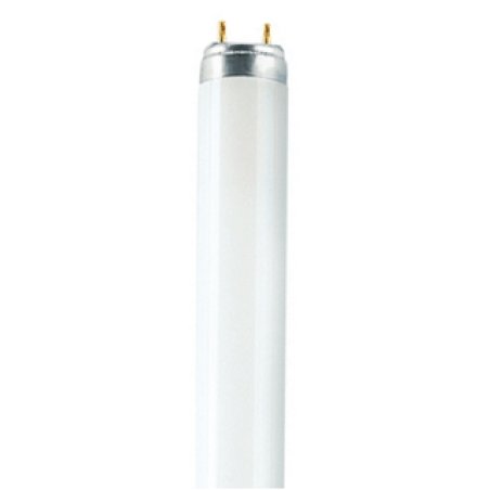 Osram T8 Relax L fluorescent bulb 18 W G13 Warm white