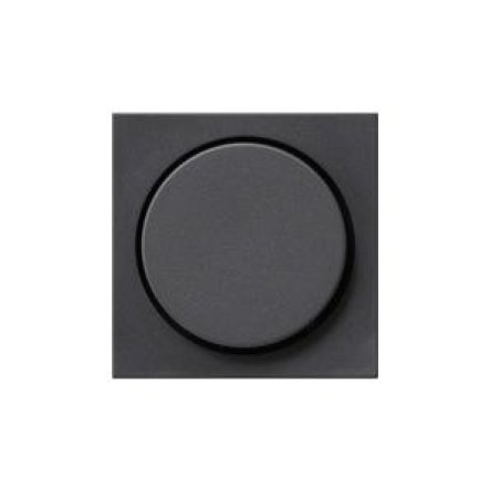 GIRA 0650 28 Anthracite
