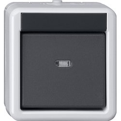 GIRA 515130 Taster BA 1fach 1 Punkt WG AP Grau