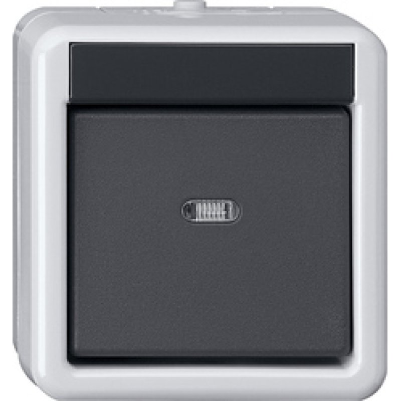 GIRA 515130 commutateur électrique Noir, Gris