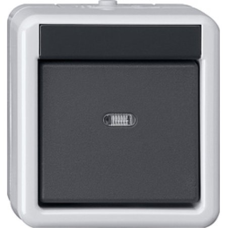 GIRA 515130 commutateur électrique Noir, Gris