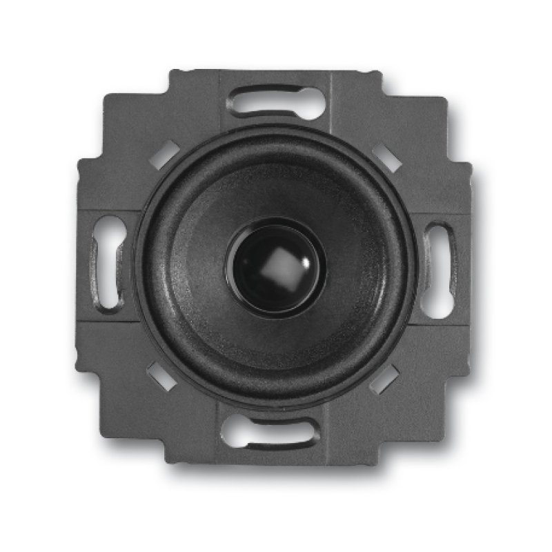 Busch-Jaeger 8200-0-0042 loudspeaker 1-way Black 2 W