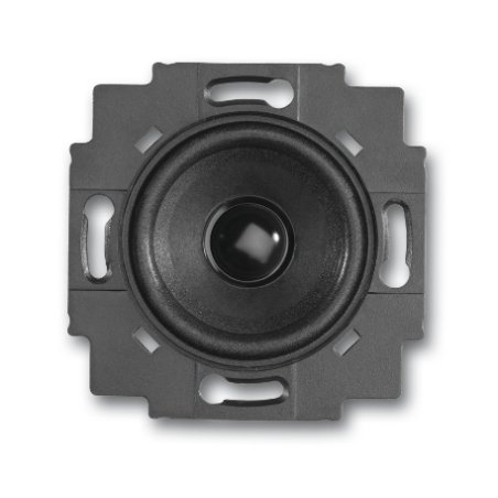 Busch-Jaeger 8200-0-0042 loudspeaker 1-way Black 2 W