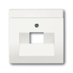 Busch-Jaeger 1710-0-3889 Plaque de commutation et obturateur Blanc