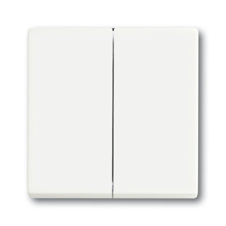 Busch-Jaeger 1751-0-3024 interrupteur d'éclairage Plastique Blanc
