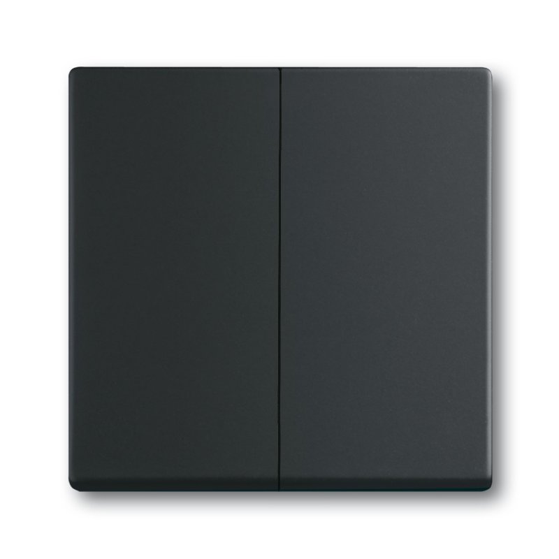Busch-Jaeger 1751-0-3038 light switch Plastic Black