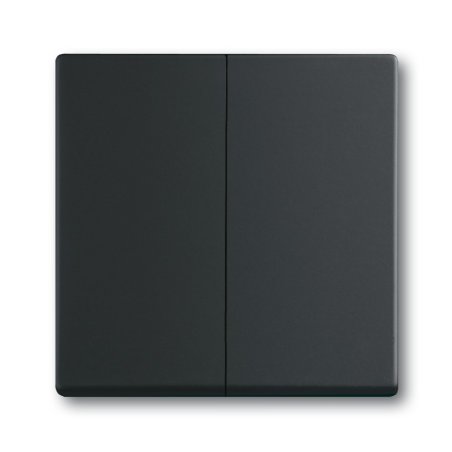 Busch-Jaeger 1751-0-3038 light switch Plastic Black