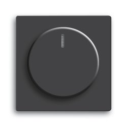 Busch-Jaeger 6540-885-102 Black
