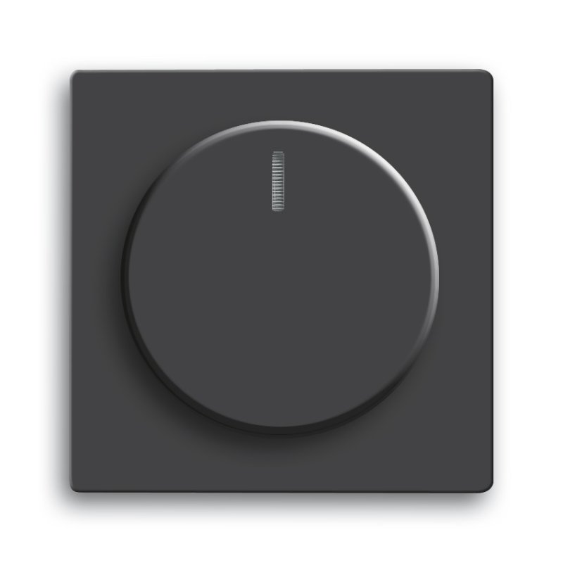 Busch-Jaeger 6540-885-102 Black
