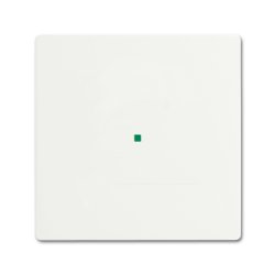Busch-Jaeger 2CKA006220A0481 detector mount/base cover plate White