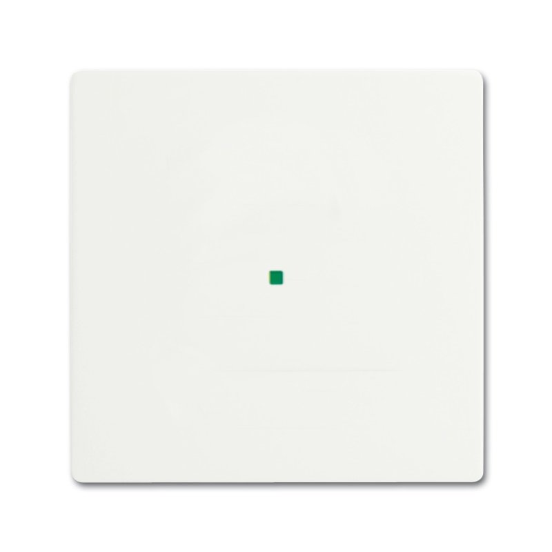 Busch-Jaeger 2CKA006220A0481 detector mount/base cover plate White