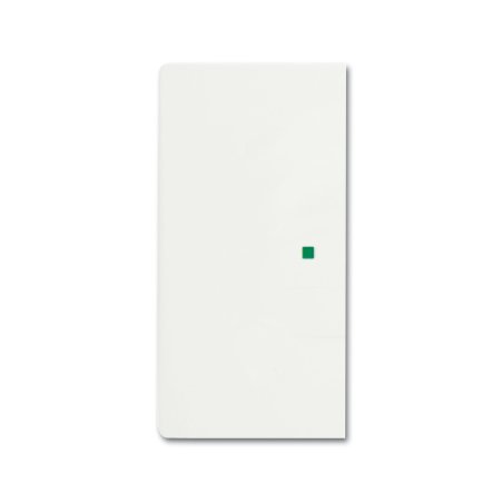 BUSCH JAEGER BJ 6230-20-884 Wippe 2f studioweiß-matt Busch-free@home future linear
