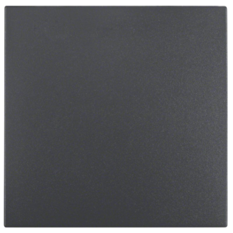 Berker 1620 16 06 Wippe ANT B.1/B.3