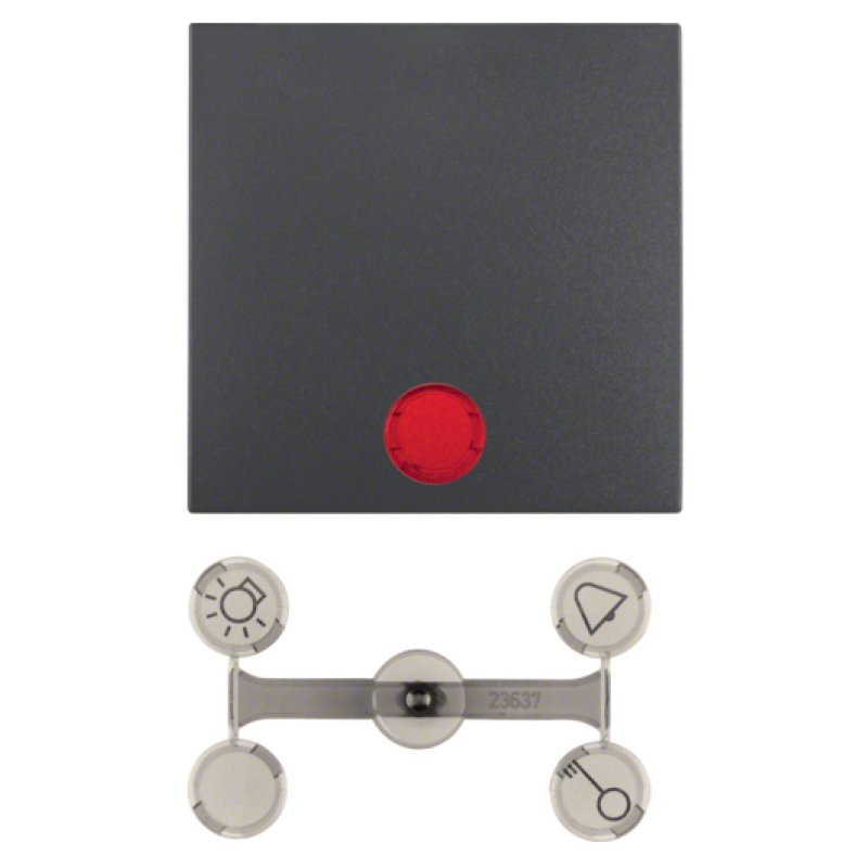 Berker 1621 16 06 Wippe Kontroll- ANT B.1/B.3 mit Linsen